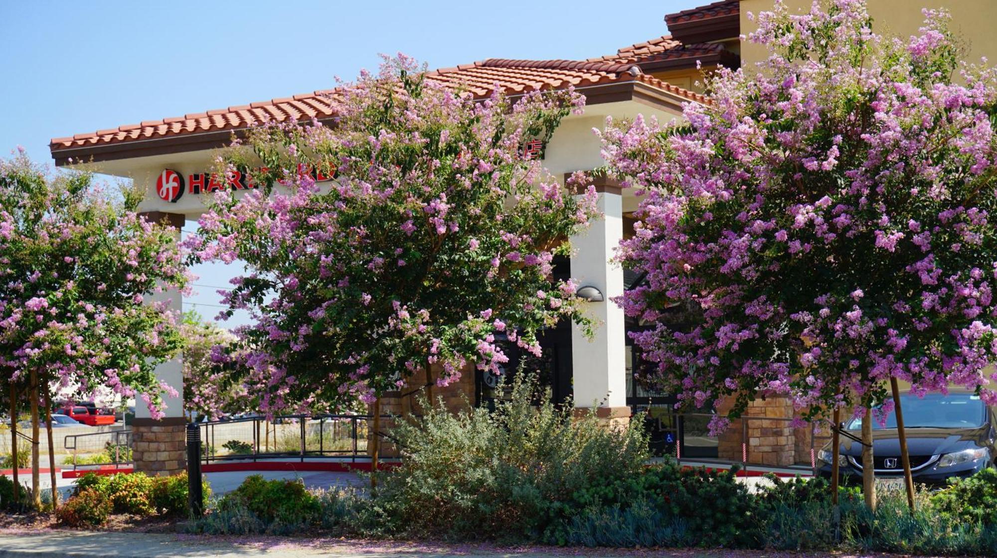 Hartford Hotel Best Western Signature Collection Rosemead Exteriör bild